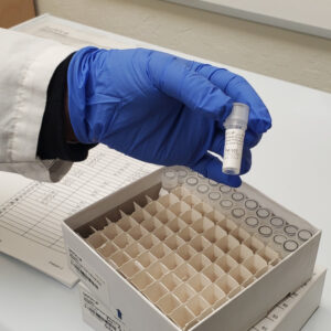 TailorMix (Denatured) Dual-Indexed PhiX Control Library