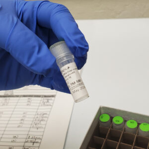 High-throughput PhiX TailorMix Products - Dual-Indexed PhiX Control Library