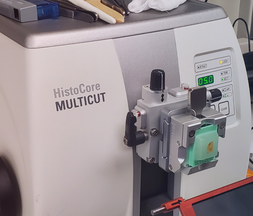20230630_111307_Leica_Multicut_Laboratory-Left 20230630_111307_Leica_Multicut_Laboratory-Left