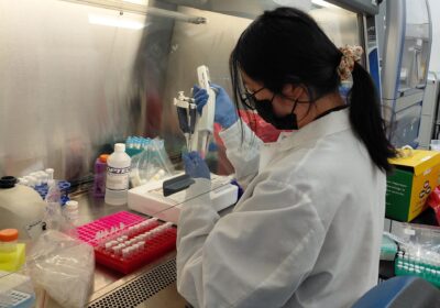 SeqMatic Laboratory - Expert Science by Expert Hands.