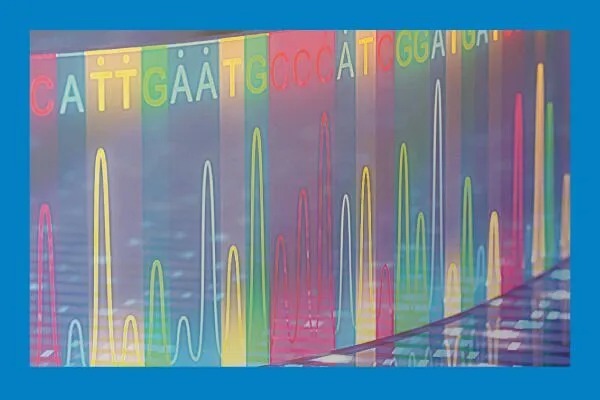 Population Genetics