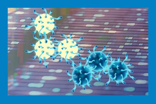 Cancer Studies